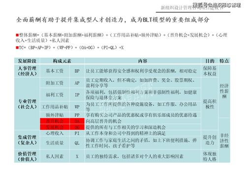新組織設(shè)計(jì)管理咨詢(xún)項(xiàng)目建議書(shū) 項(xiàng)目策劃與公關(guān)服務(wù)